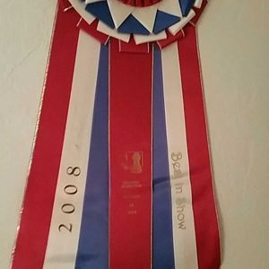 Meet your Posher, Candis